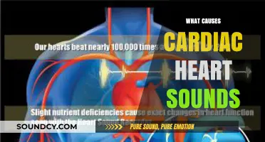 Understanding Cardiac Heart Sounds: Causes and Mechanisms Explained