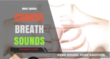 Understanding Coarse Breath Sounds: Causes, Symptoms, and Medical Insights
