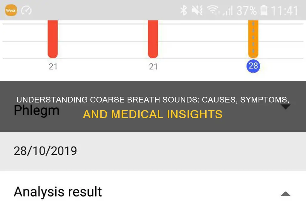 what causes coarse breath sounds