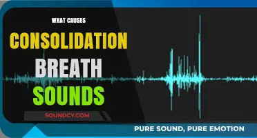 Understanding Consolidation Breath Sounds: Causes and Clinical Implications