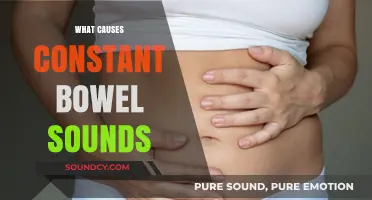 Understanding Constant Bowel Sounds: Causes, Symptoms, and When to Seek Help