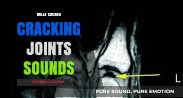 Understanding the Science Behind Cracking Joints and Their Sounds