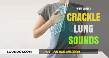 Understanding Crackle Lung Sounds: Causes and Clinical Significance Explained