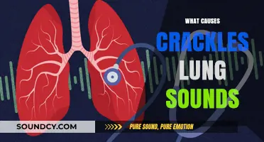 Understanding Crackles: Causes of Abnormal Lung Sounds Explained