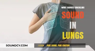 Lung Crackles: What's Behind the Noises?
