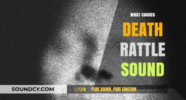 Understanding the Death Rattle: Causes and What It Means for Loved Ones