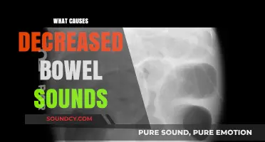 Understanding Decreased Bowel Sounds: Causes, Symptoms, and When to Seek Help