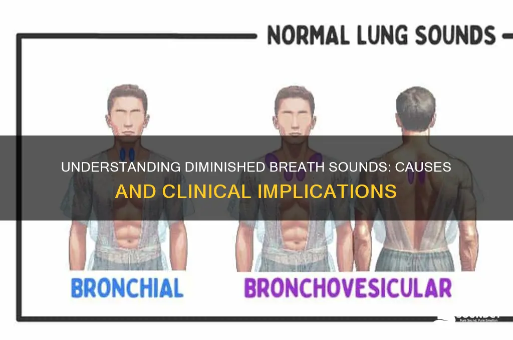 what causes diminished breath sounds