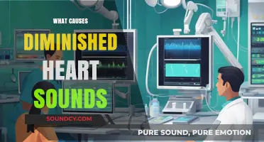 Understanding Diminished Heart Sounds: Causes and Clinical Implications