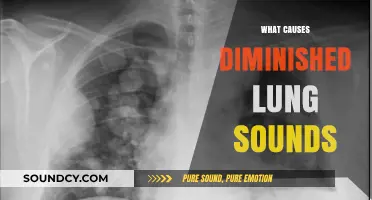 Understanding Diminished Lung Sounds: Causes and Clinical Implications