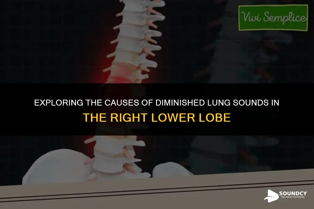 what causes diminshed lung sounds in the right lower