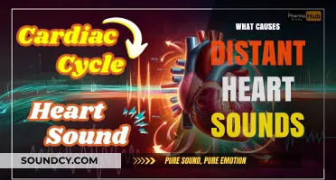 Understanding Distant Heart Sounds: Causes and Clinical Implications