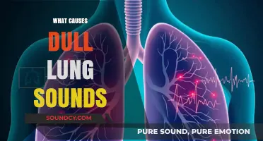 Understanding Dull Lung Sounds: Causes and Clinical Implications Explained
