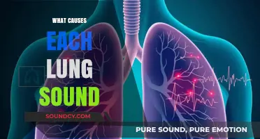 Understanding Lung Sounds: Causes and Clinical Significance Explained