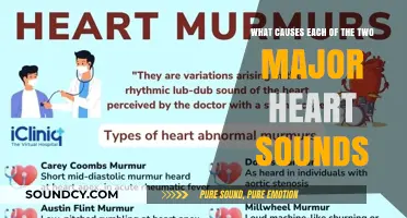 Exploring the Origins of Heart Sounds: A Comprehensive Guide