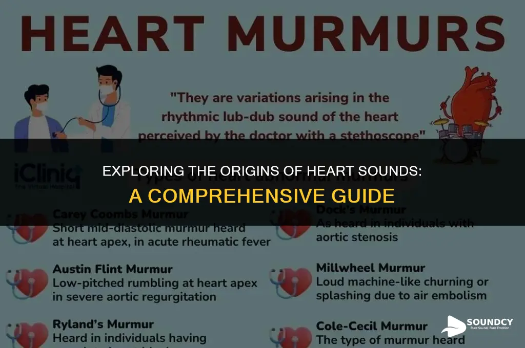 what causes each of the two major heart sounds