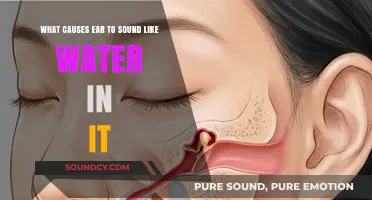 Why Your Ear Might Sound Like It's Filled with Water