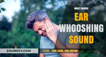 Unraveling the Mystery: What Causes That Persistent Ear Whooshing Sound?