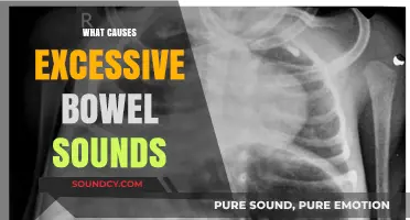 Understanding Excessive Bowel Sounds: Causes and Potential Underlying Factors