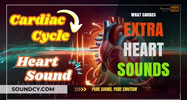 Unraveling the Mystery: What Causes Extra Heart Sounds?