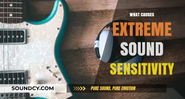 Understanding Extreme Sound Sensitivity: Causes and Triggers Explained