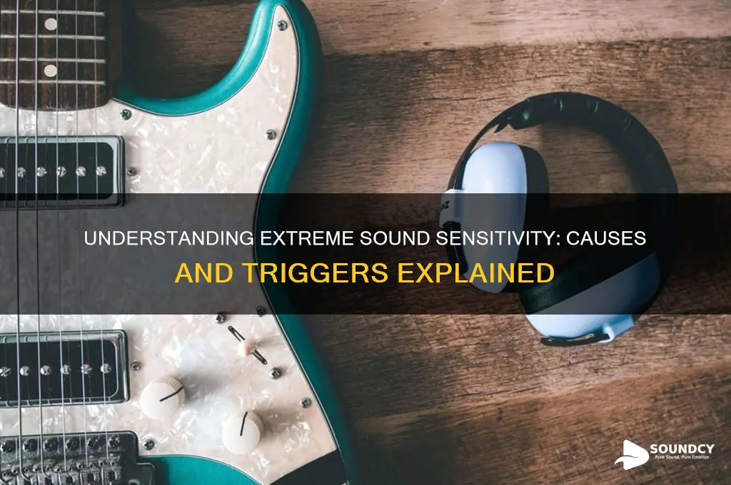 what causes extreme sound sensitivity