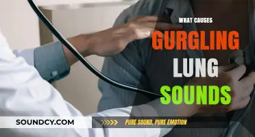 Understanding Gurgling Lung Sounds: Causes and When to Seek Help