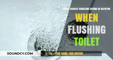 Decoding the Mysterious Gurgle: Why Your Bathtub Makes Noise When You Flush