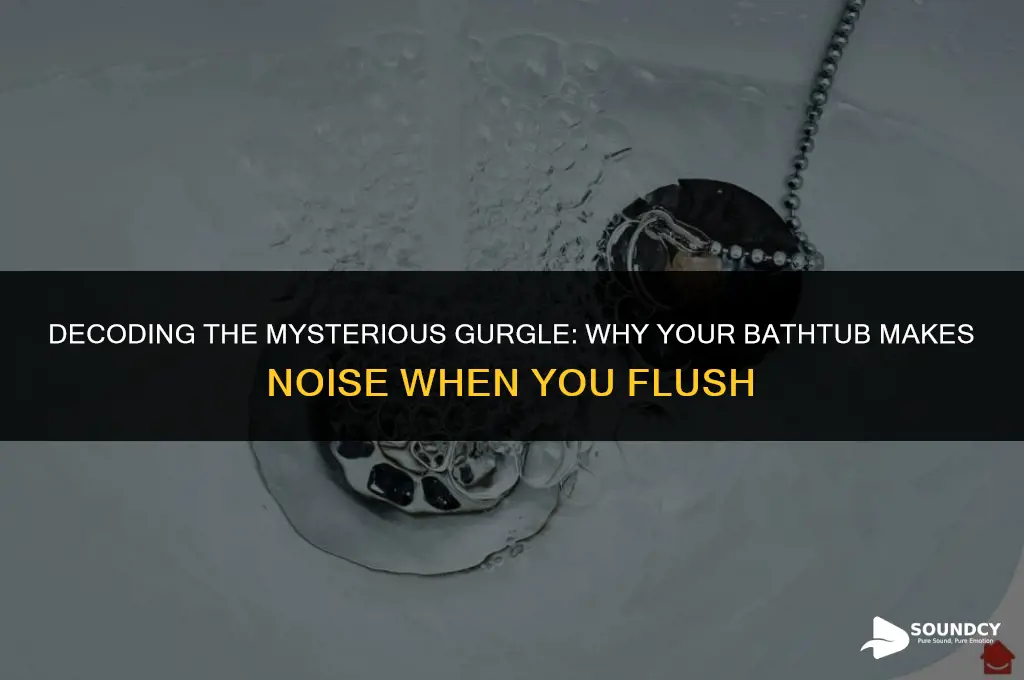 what causes gurgling sound in bathtub when flushing toilet
