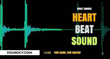 Understanding the Science Behind Your Heart's Rhythmic Beat Sound