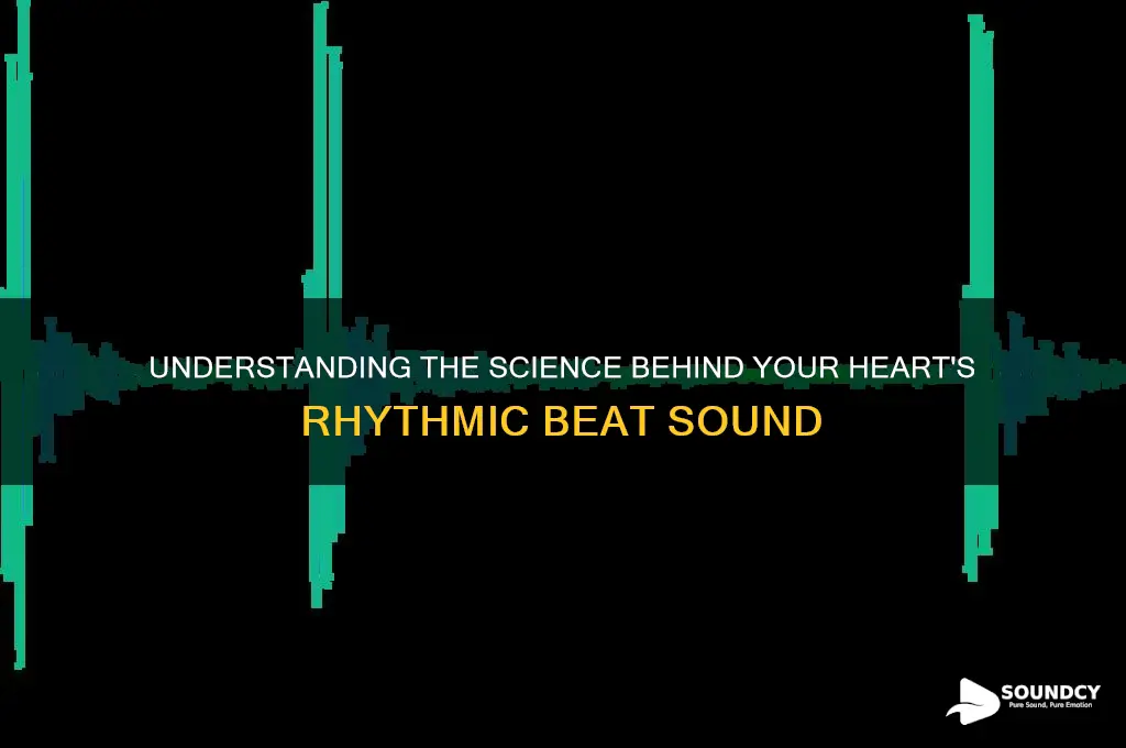 what causes heart beat sound