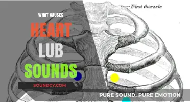 Understanding Heart Lub Sounds: Causes and Cardiac Mechanics Explained