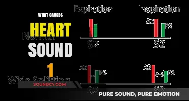 Understanding Heart Sound 1: Causes and Contributing Factors Explained