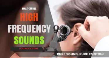 Unveiling the Origins of High-Frequency Sounds: Causes and Mechanisms