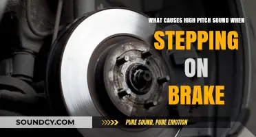 Why Do Brakes Make a High-Pitched Squeal? Explained