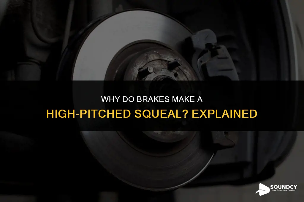 what causes high pitch sound when stepping on brake