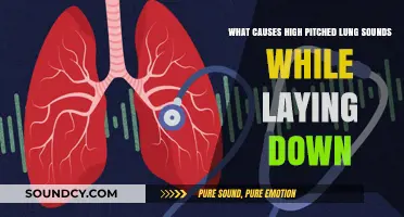 Understanding High-Pitched Lung Sounds: Causes and Concerns While Laying Down