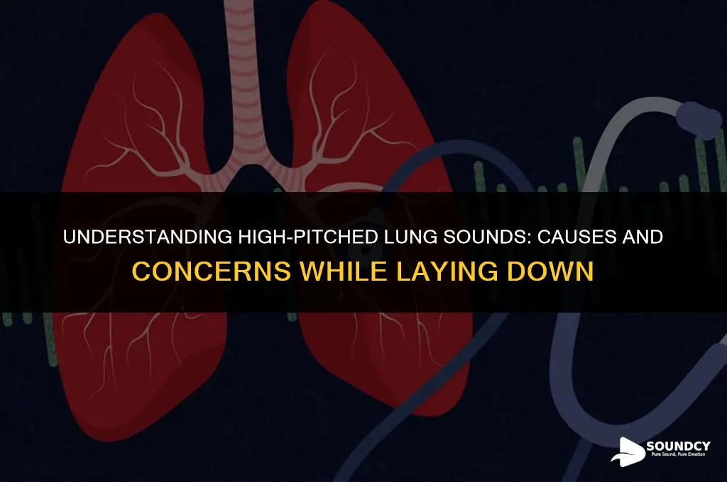 what causes high pitched lung sounds while laying down