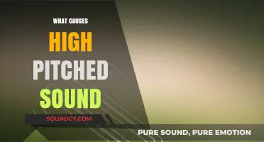 Unraveling the Mystery: What Causes High-Pitched Sounds in Our Environment