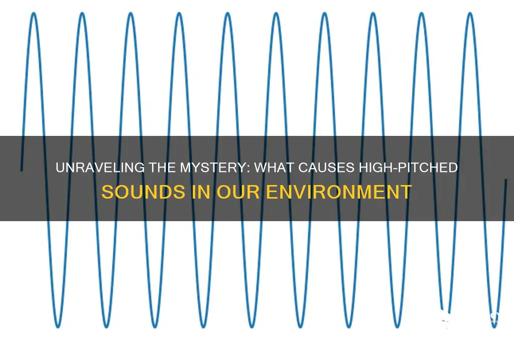 what causes high pitched sound