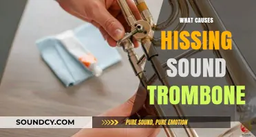 Why Does My Trombone Hiss? Common Causes and Quick Fixes