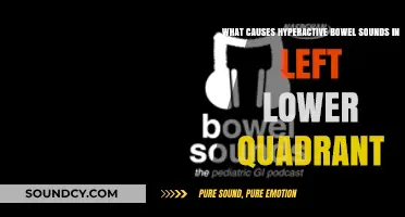 Exploring the Causes of Hyperactive Bowel Sounds in the Left Lower Quadrant