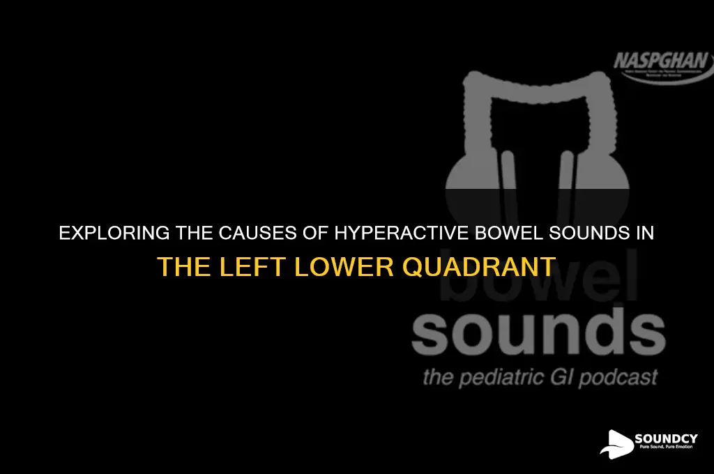 what causes hyperactive bowel sounds in left lower quadrant