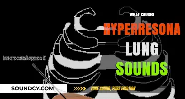 Understanding Hyperresonant Lung Sounds: Causes and Clinical Implications