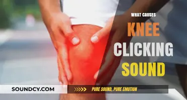 Understanding Knee Clicking: Causes, Concerns, and When to Seek Help