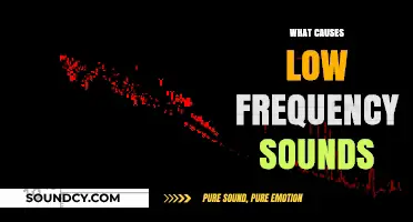 Unveiling the Origins of Low-Frequency Sounds: Causes and Factors