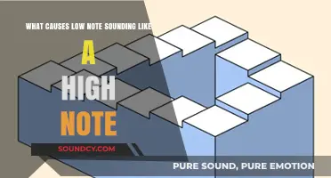 The Illusion of Pitch: Why Low Notes Can Sound High
