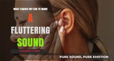 Understanding Ear Fluttering: Causes and Remedies Explained