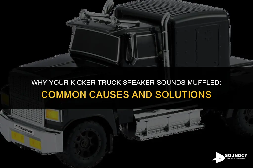 what causes my kicker truck speaker to sound muffled