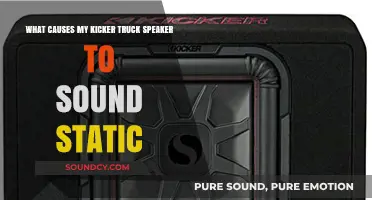 Troubleshooting Static Sound in Your Kicker Truck Speaker